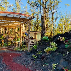 Exotic Garden At Amazing Volcano Fissure Country house Mountain View